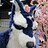 somerandomplayer